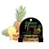 GoGreen-Hemp-CBD-200mg-Pre-Filled-Pineapple-Express-Cartridge